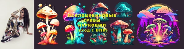 spice Алексин